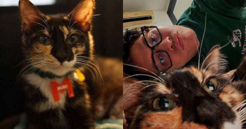 Instagram.com/wordfangs